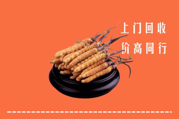 高价求购：博白县回收散虫草