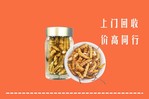 博白县高价回收冬虫夏草