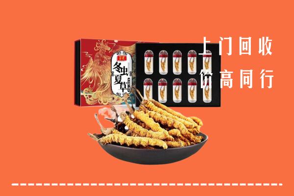 博白县回收虫草